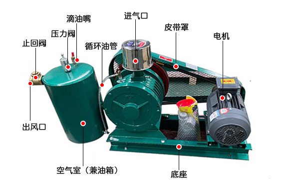 回转式鼓风机拆解图