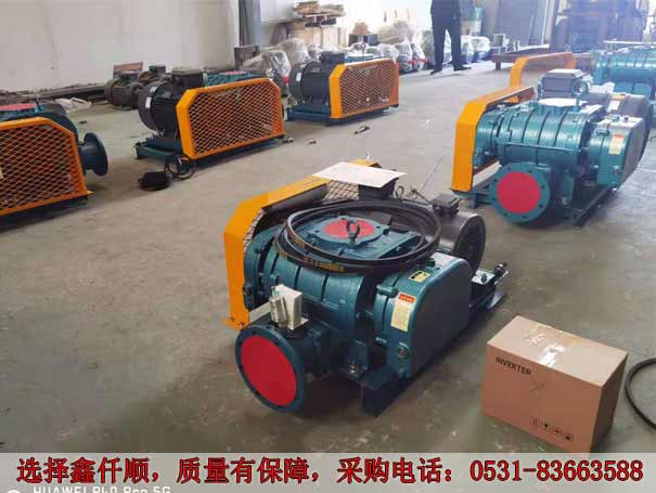 高压罗茨鼓风机 发货广西高压罗茨鼓风机XQSSR15030KW6台(图1)